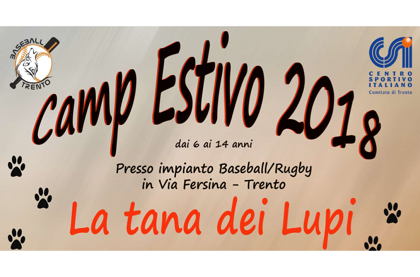 Cover Camp Baseball