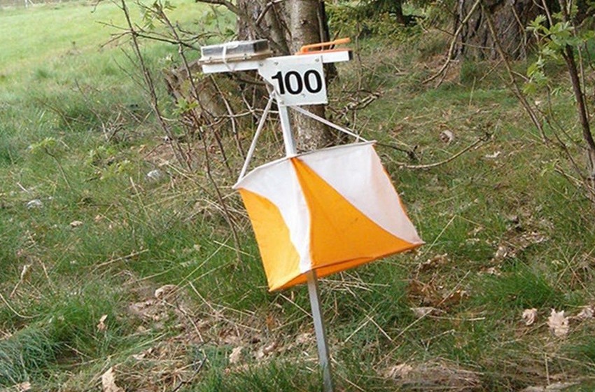 Orienteering_3